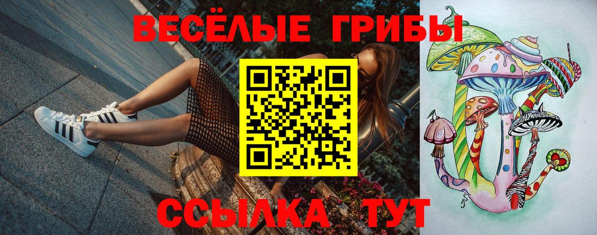 Галлюциногенные грибы GOLDEN TEACHER  Вход с VPN  Мурино 